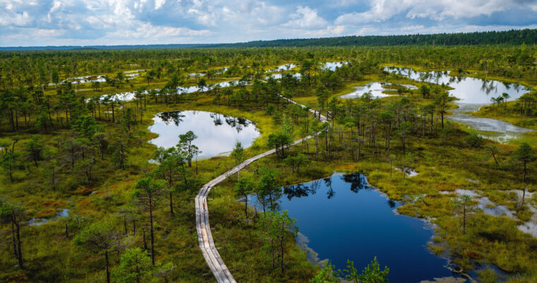 Nationalparks in Estland und Lettland (sehr viel Moor)
