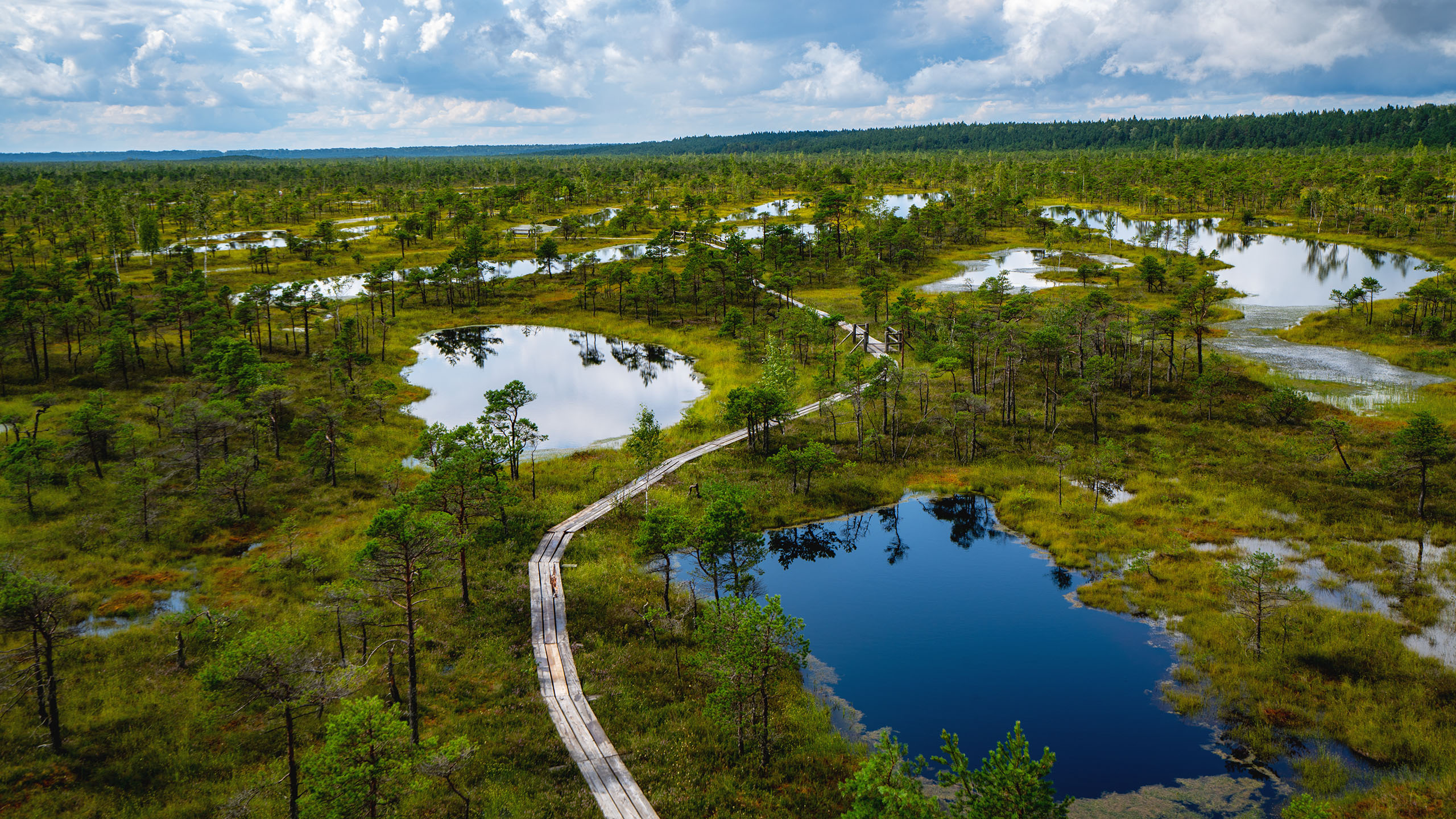 Nationalparks in Estland und Lettland (sehr viel Moor)